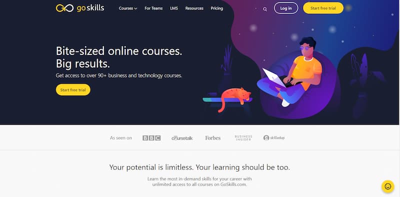 Goskills online courses