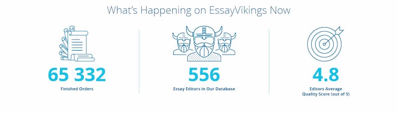 EssayViking-info