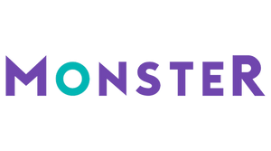 Monster resume review