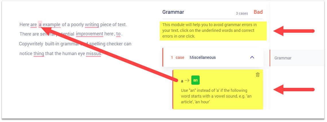 copywritely-Grammar-Checker