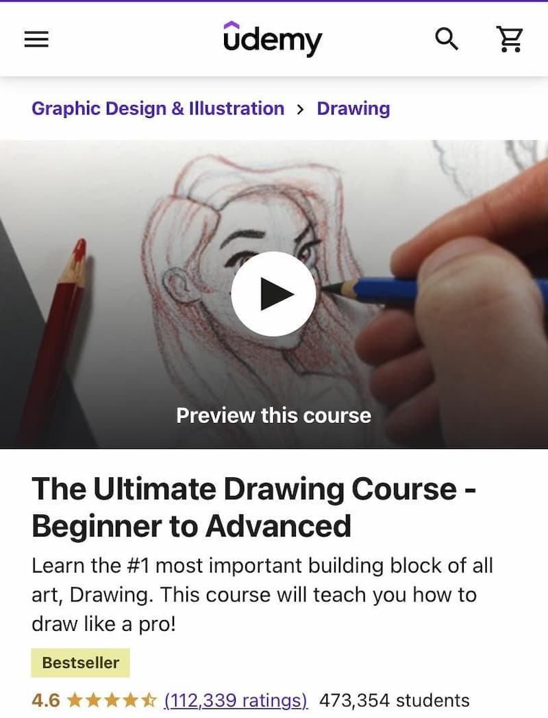 Best Udemy Drawing Course in 2023 EduReviewer