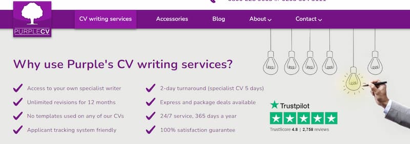 Purple CV writing services