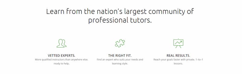 Wyzant professional tutors