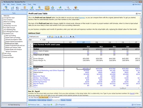 business-plan-pro-profit-and-loss