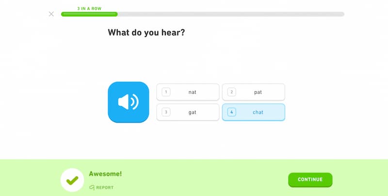 duolingo engaging features