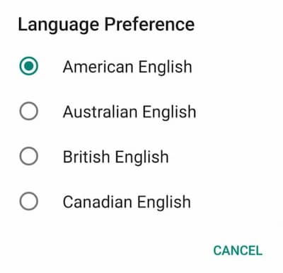 languagetool preferences