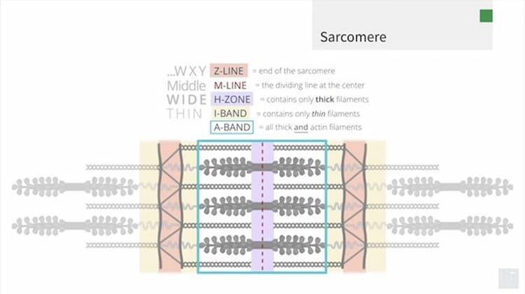 BluePrint CASPer questions