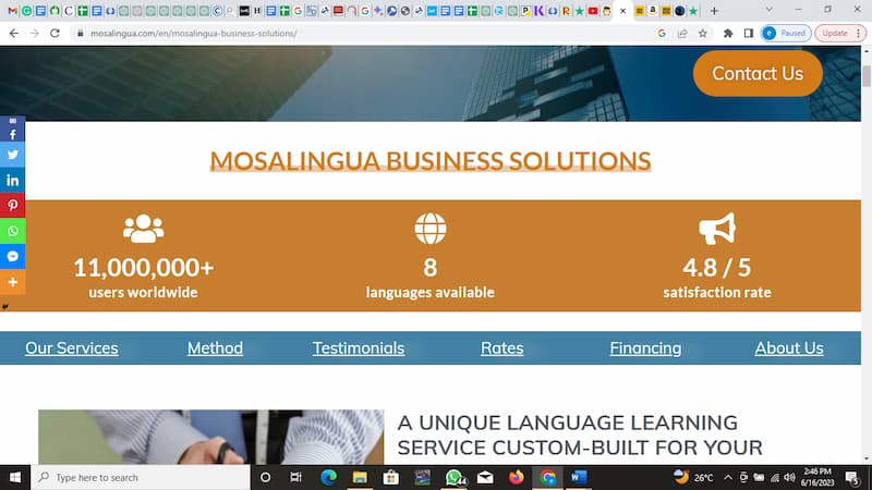 Mosalingua-business-solutions.jpg