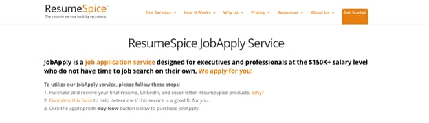 resumespice-home-page